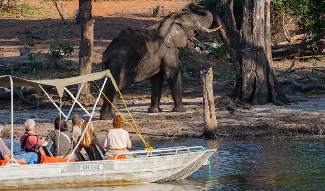 Krstarenje rekom Chobe, Kasane, 2012.